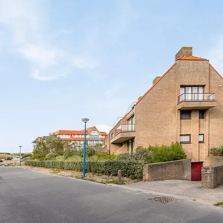 Zeezonzand C-0206 G Koksijde