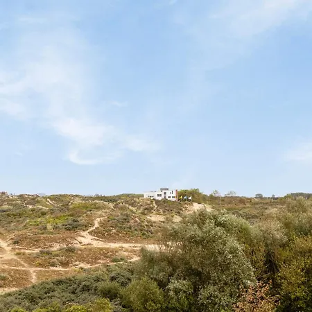 Zeezonzand C-0206 G Koksijde